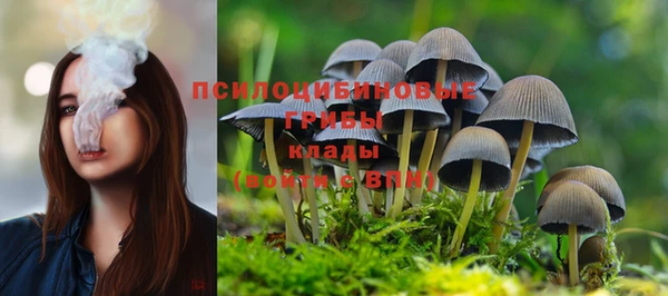 соль курить ск Вязники