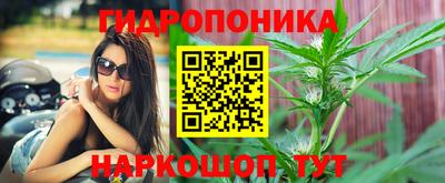 винт Гусев