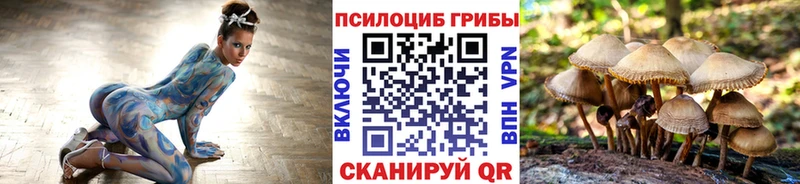 МЕГА маркетплейс  Ноябрьск  Псилоцибиновые грибы Magic Shrooms  наркотики 