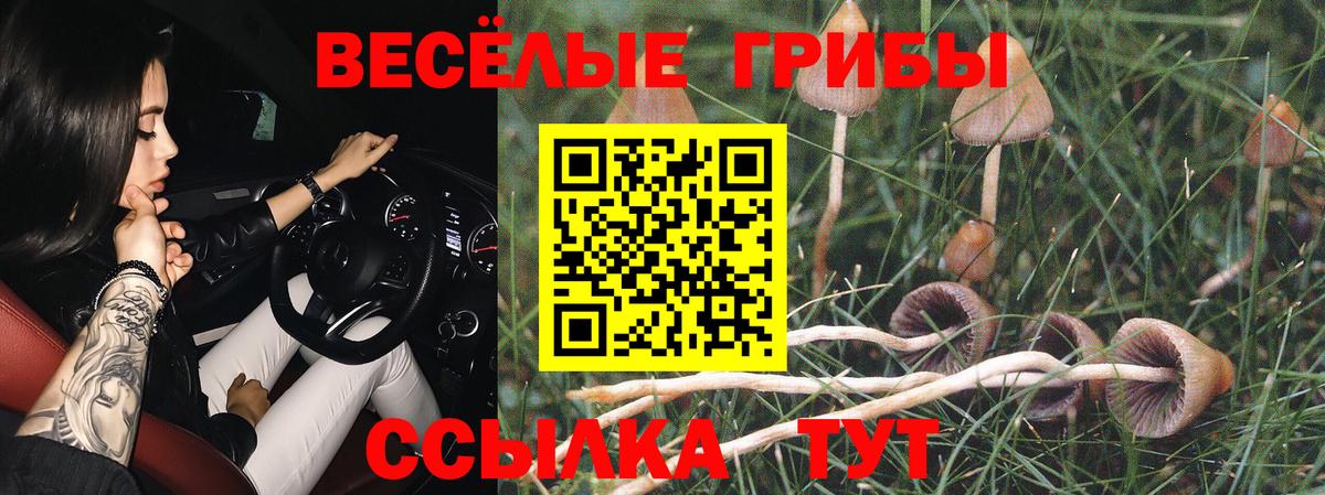 Галлюциногенные грибы прущие грибы Ноябрьск